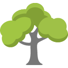 Manassas Tree Removal