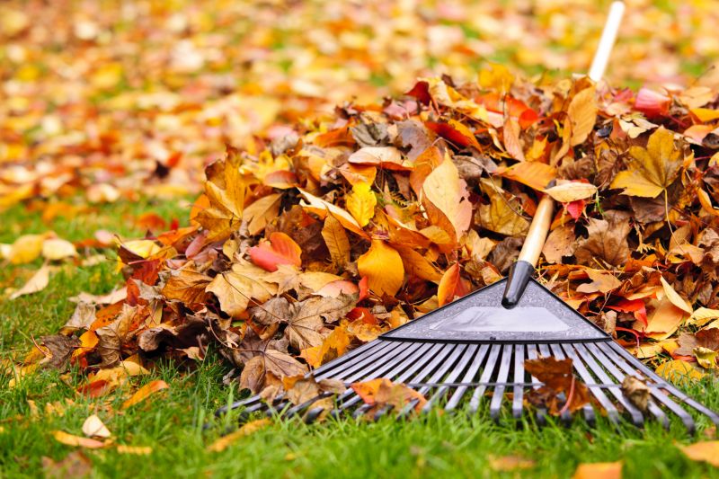 Clean Yard with Leaf Removal